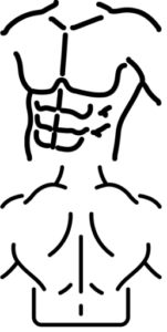 gainage en musculation