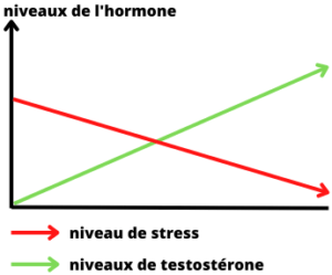 Le stress pour la perte de poids