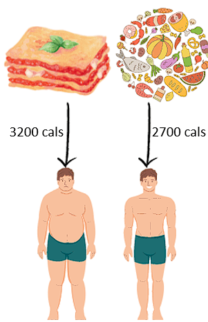 L'importance des calories dans la perte de poids