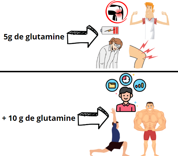 pourquoi prendre de la glutamine